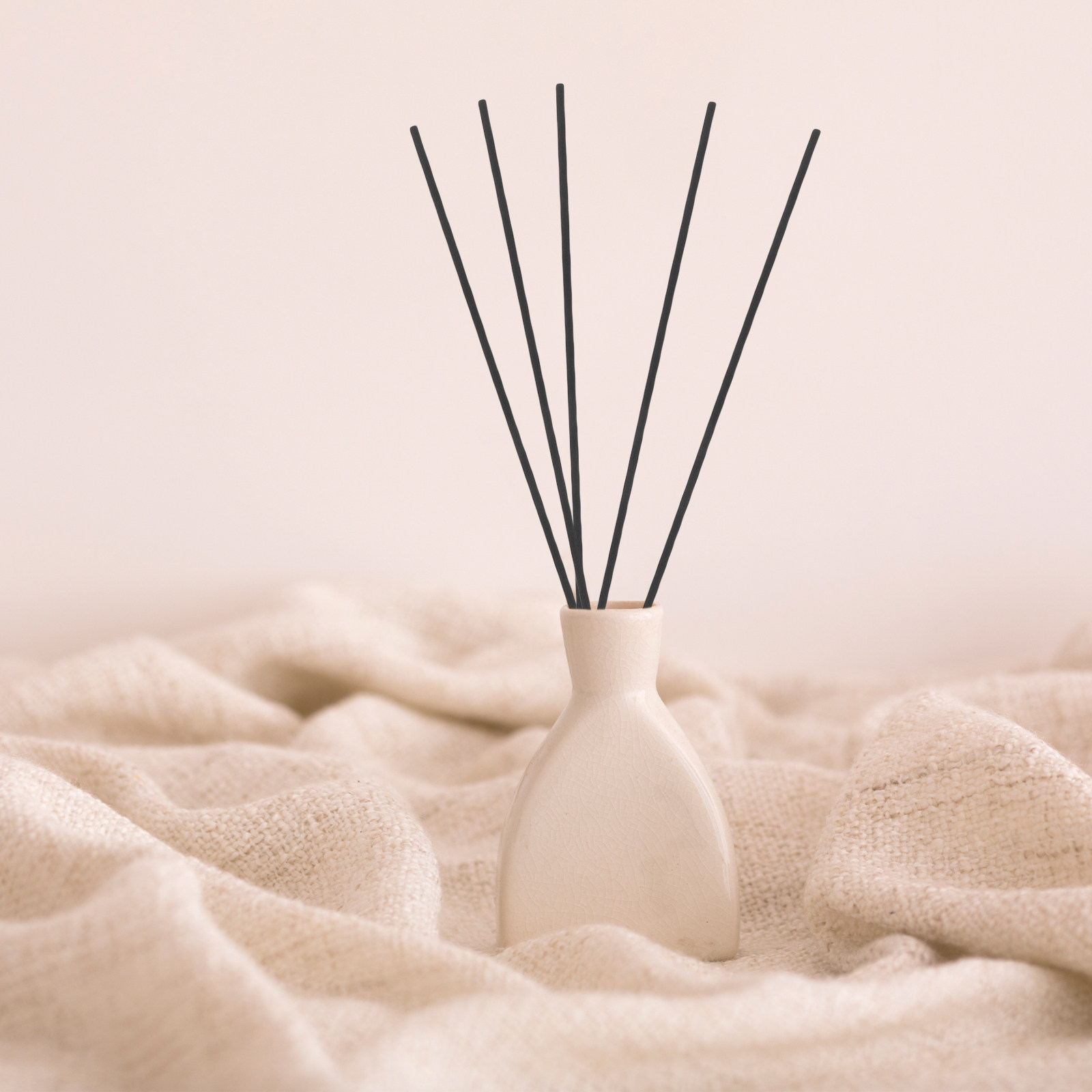 100 Stuks Vezel Riet Diffuser  - Home Fragrance Aroma recensie en prijs