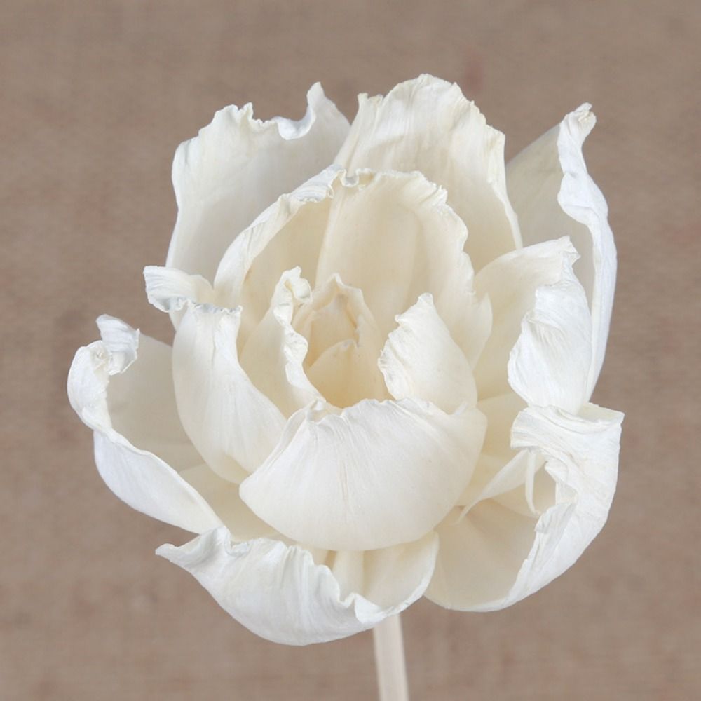 Multifunctionele 5cm natuurlij - Home Fragrance Natural recensie en prijs